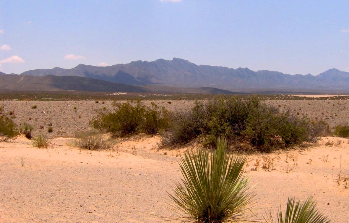 Desert scrub and the Franklin Mountains in the Mesilla Valley